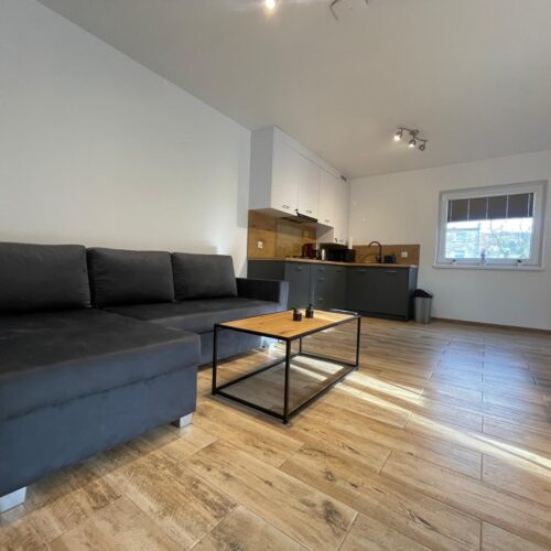 Domek nr 1